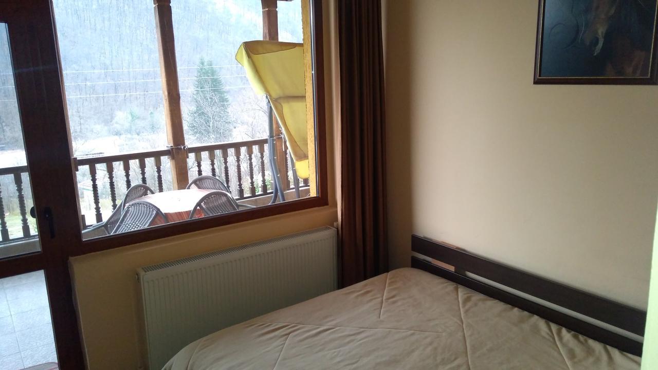 Guest House Alfa Daniel Balkanets  Екстер'єр фото