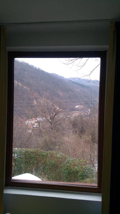 Guest House Alfa Daniel Balkanets  Екстер'єр фото