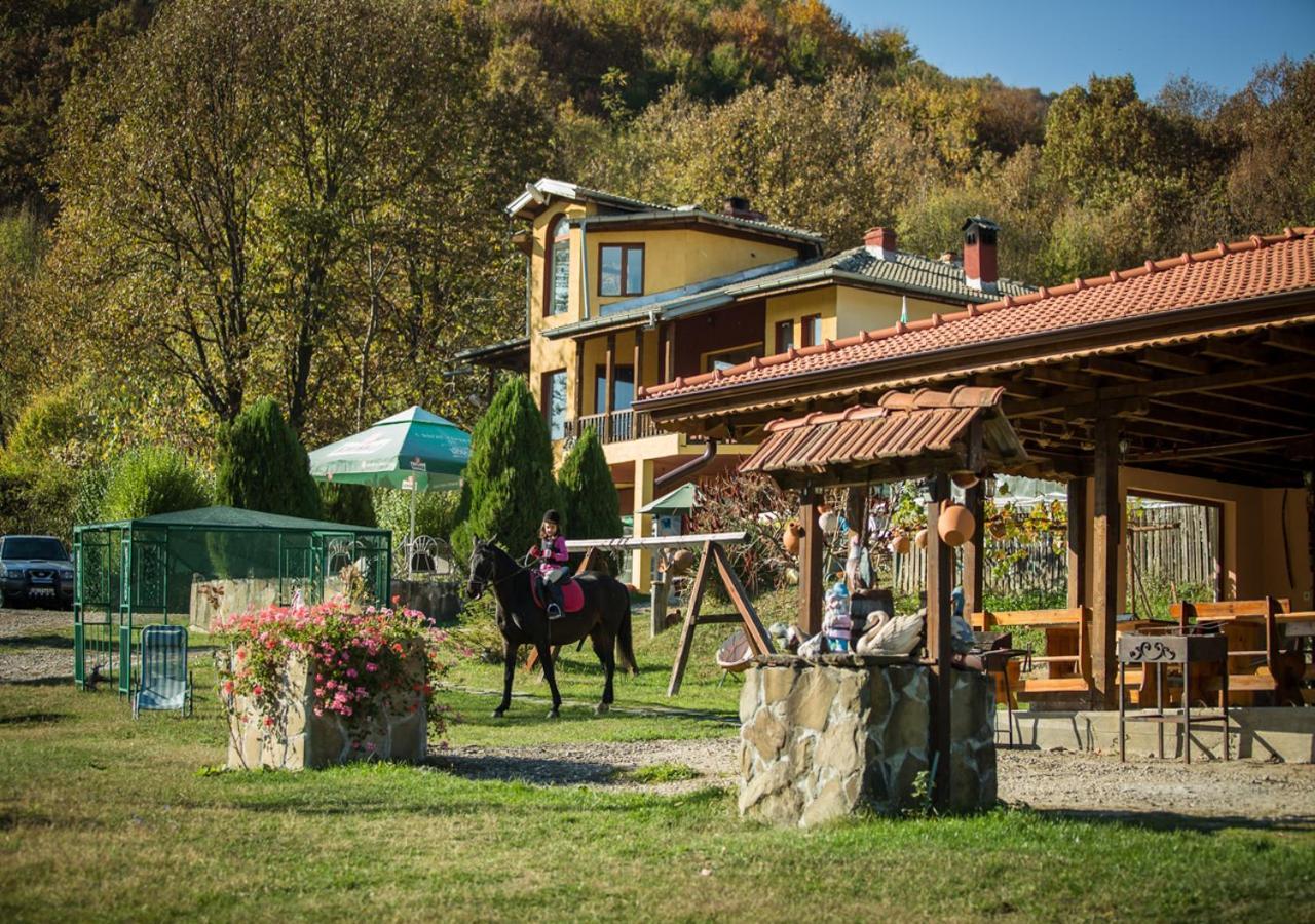 Guest House Alfa Daniel Balkanets  Екстер'єр фото